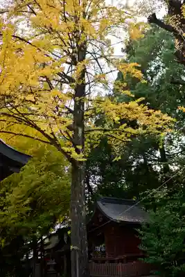 秩父神社(埼玉県)