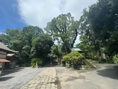 鹿児島神宮(鹿児島県)