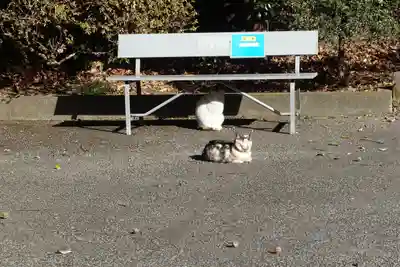 唐澤山神社(栃木県)