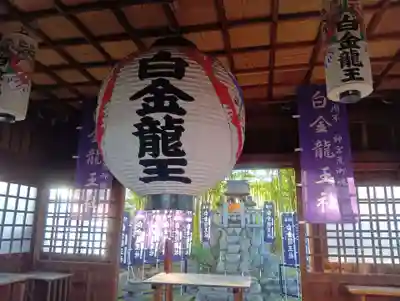 白金龍王社(愛知県)