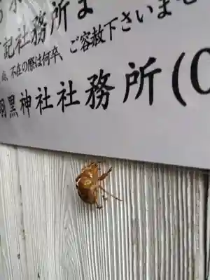 羽黒神社(石川県)