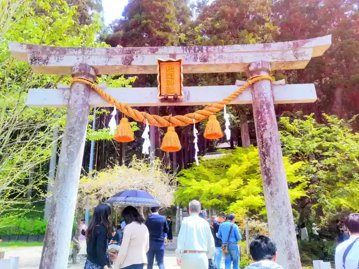 根道神社の鳥居