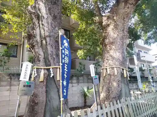 阿倍王子神社の自然