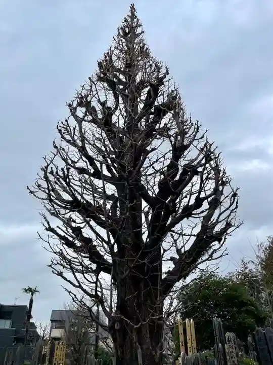 定泉寺(東京都)