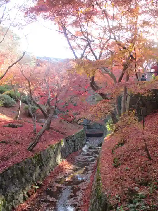 東福禅寺(東福寺)(京都府)