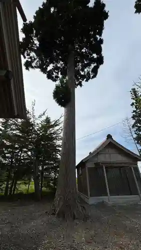 山越諏訪神社(北海道)