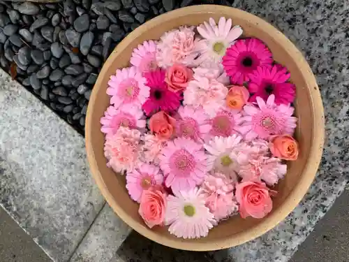 彌都加伎神社の手水舎