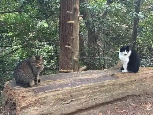 峯神社(大麻比古神社奥宮)(徳島県)