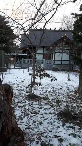 新琴似神社の自然