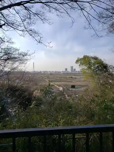 矢切神社の景色