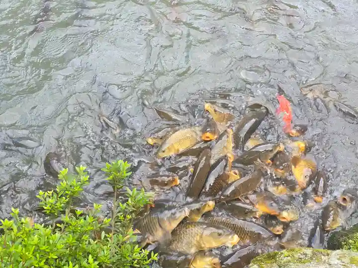 喜見院(滋賀県)