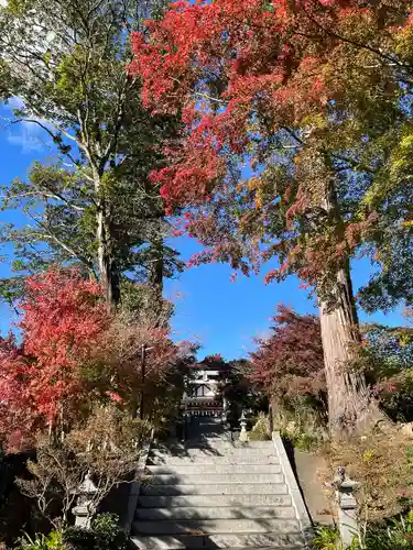 八幡宮(茨城県)