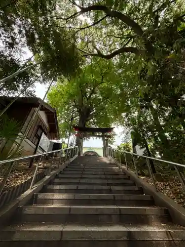 下総国三山　二宮神社の{uncategorized: "未分類", other: "その他", undefined: "問題あり", building: "その他建物", grave: "お墓", sacred_gate: "鳥居", guardian: "狛犬", statue: "像", buddha: "仏像", history: "歴史", nature: "自然", garden: "庭園", animal: "動物", pagoda: "塔", temizu: "手水舎", mountain_gate: "山門・神門", sanctuary: "本殿・本堂", subordinate: "末社・摂社", art: "芸術", scenery: "景色", jizo: "地蔵", ema: "絵馬", goshuin: "御朱印", omikuji: "おみくじ", items: "授与品その他", amulet: "お守り", goshuincho: "御朱印帳", eats: "食事", festival: "お祭り", votive_dance: "神楽", shichigosan: "七五三参", wedding: "結婚式", experience: "体験その他", initially: "初詣", around: "周辺", anti_infection: "感染症対策"}