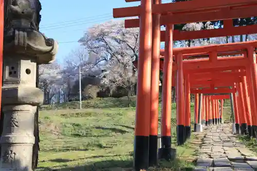 高屋敷稲荷神社の鳥居