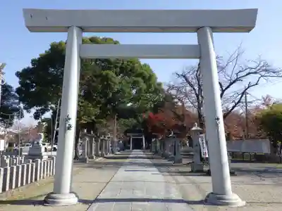 白山神社(二子町)の鳥居
