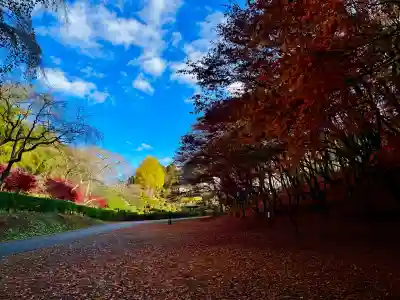 栄存神社(宮城県)