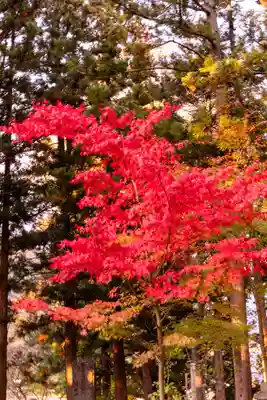 山家神社(長野県)