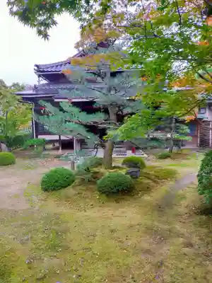 酬恩庵一休寺(京都府)