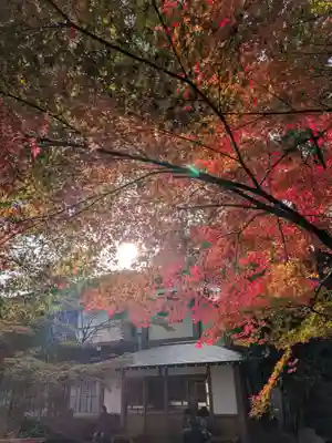 阿佐ヶ谷神明宮(東京都)