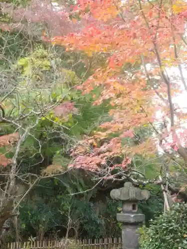 安國論寺（安国論寺）の自然