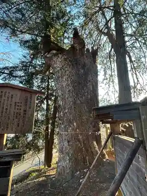 若宮八幡神社(山梨県)