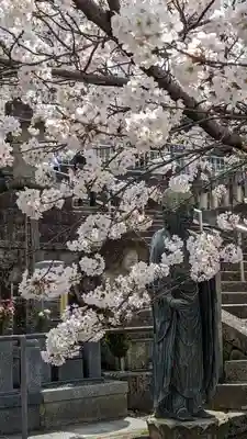 くろ谷 金戒光明寺(京都府)