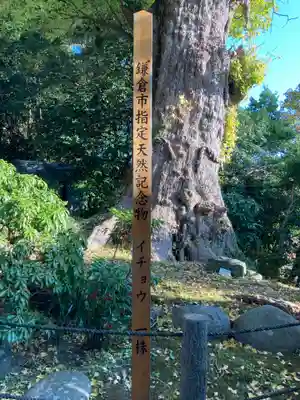 荏柄天神社(神奈川県)