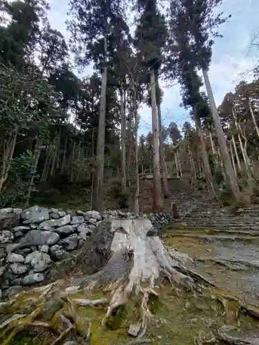 高山寺(京都府)