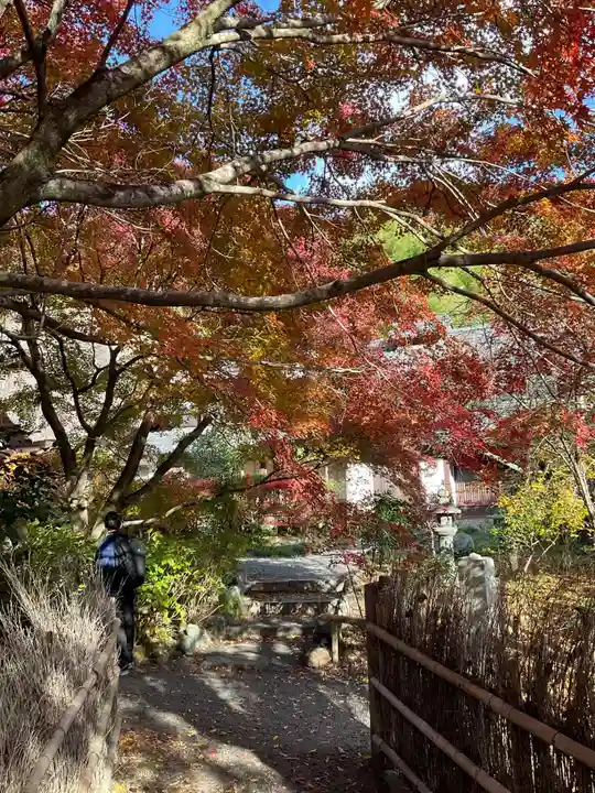 直指庵(京都府)