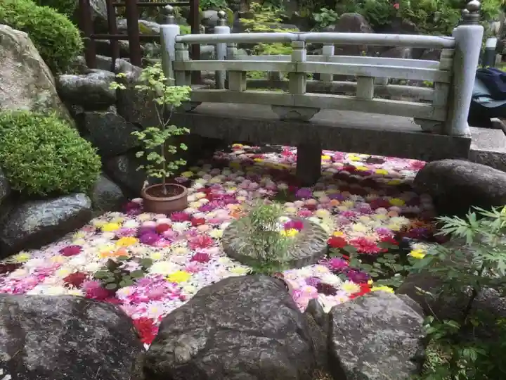 岡寺(龍蓋寺)の庭園