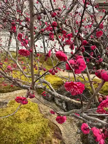 岩津天満宮の自然