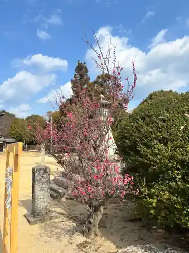 勝岡八幡神社(愛媛県)