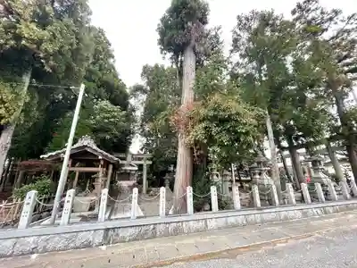 白鳥神社(滋賀県)