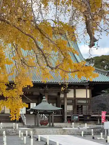 時宗総本山 遊行寺（正式：清浄光寺）(神奈川県)