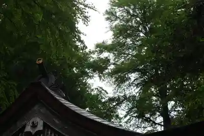 貴船神社(京都府)