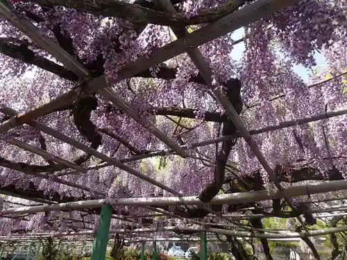 西寒多神社の庭園