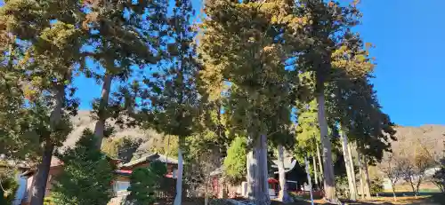 菅生神社の周辺