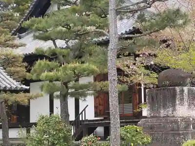東大寺真言院の{uncategorized: "未分類", other: "その他", undefined: "問題あり", building: "その他建物", grave: "お墓", sacred_gate: "鳥居", guardian: "狛犬", statue: "像", buddha: "仏像", history: "歴史", nature: "自然", garden: "庭園", animal: "動物", pagoda: "塔", temizu: "手水舎", mountain_gate: "山門・神門", sanctuary: "本殿・本堂", subordinate: "末社・摂社", art: "芸術", scenery: "景色", jizo: "地蔵", ema: "絵馬", goshuin: "御朱印", omikuji: "おみくじ", items: "授与品その他", amulet: "お守り", goshuincho: "御朱印帳", eats: "食事", festival: "お祭り", votive_dance: "神楽", shichigosan: "七五三参", wedding: "結婚式", experience: "体験その他", initially: "初詣", around: "周辺", anti_infection: "感染症対策"}
