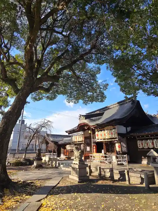 縣神社(京都府)