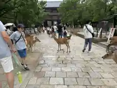 東大寺(奈良県)