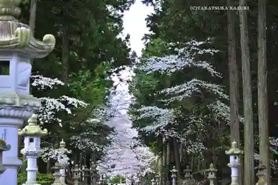 冨士御室浅間神社(山梨県)