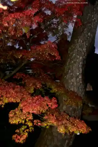 高幡不動尊　金剛寺(東京都)