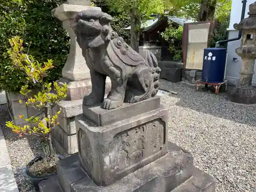 白鬚神社の狛犬