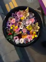 徳島眉山天神社の手水