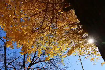 晴門田神社(福島県)