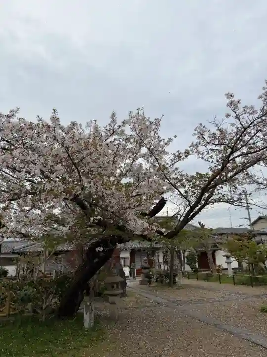 橋寺 放生院の{uncategorized: "未分類", other: "その他", undefined: "問題あり", building: "その他建物", grave: "お墓", sacred_gate: "鳥居", guardian: "狛犬", statue: "像", buddha: "仏像", history: "歴史", nature: "自然", garden: "庭園", animal: "動物", pagoda: "塔", temizu: "手水舎", mountain_gate: "山門・神門", sanctuary: "本殿・本堂", subordinate: "末社・摂社", art: "芸術", scenery: "景色", jizo: "地蔵", ema: "絵馬", goshuin: "御朱印", omikuji: "おみくじ", items: "授与品その他", amulet: "お守り", goshuincho: "御朱印帳", eats: "食事", festival: "お祭り", votive_dance: "神楽", shichigosan: "七五三参", wedding: "結婚式", experience: "体験その他", initially: "初詣", around: "周辺", anti_infection: "感染症対策"}