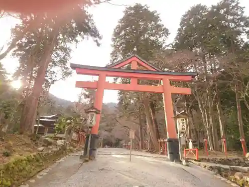 日吉大社の鳥居