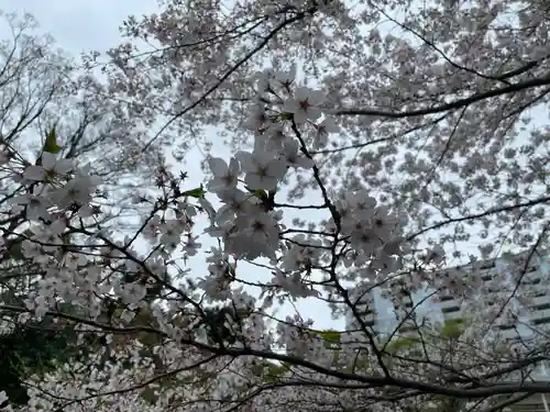 東郷神社(東京都)