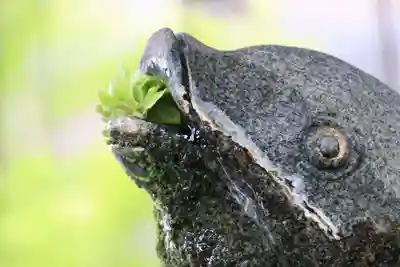 神炊館神社 ⁂奥州須賀川総鎮守⁂の手水舎
