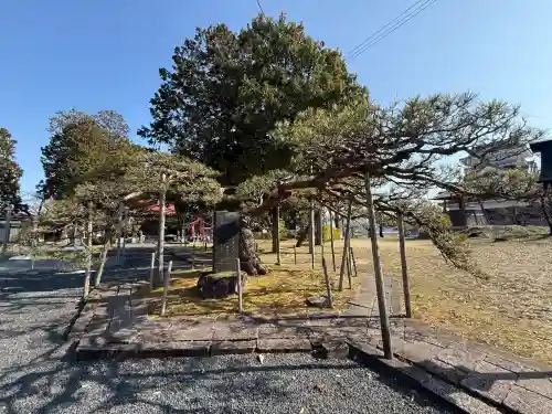 月岡神社の{uncategorized: "未分類", other: "その他", undefined: "問題あり", building: "その他建物", grave: "お墓", sacred_gate: "鳥居", guardian: "狛犬", statue: "像", buddha: "仏像", history: "歴史", nature: "自然", garden: "庭園", animal: "動物", pagoda: "塔", temizu: "手水舎", mountain_gate: "山門・神門", sanctuary: "本殿・本堂", subordinate: "末社・摂社", art: "芸術", scenery: "景色", jizo: "地蔵", ema: "絵馬", goshuin: "御朱印", omikuji: "おみくじ", items: "授与品その他", amulet: "お守り", goshuincho: "御朱印帳", eats: "食事", festival: "お祭り", votive_dance: "神楽", shichigosan: "七五三参", wedding: "結婚式", experience: "体験その他", initially: "初詣", around: "周辺", anti_infection: "感染症対策"}